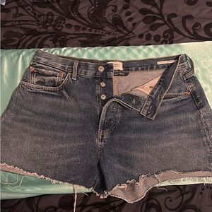Citizens Of Humanity Blue Denim Shorts NWT